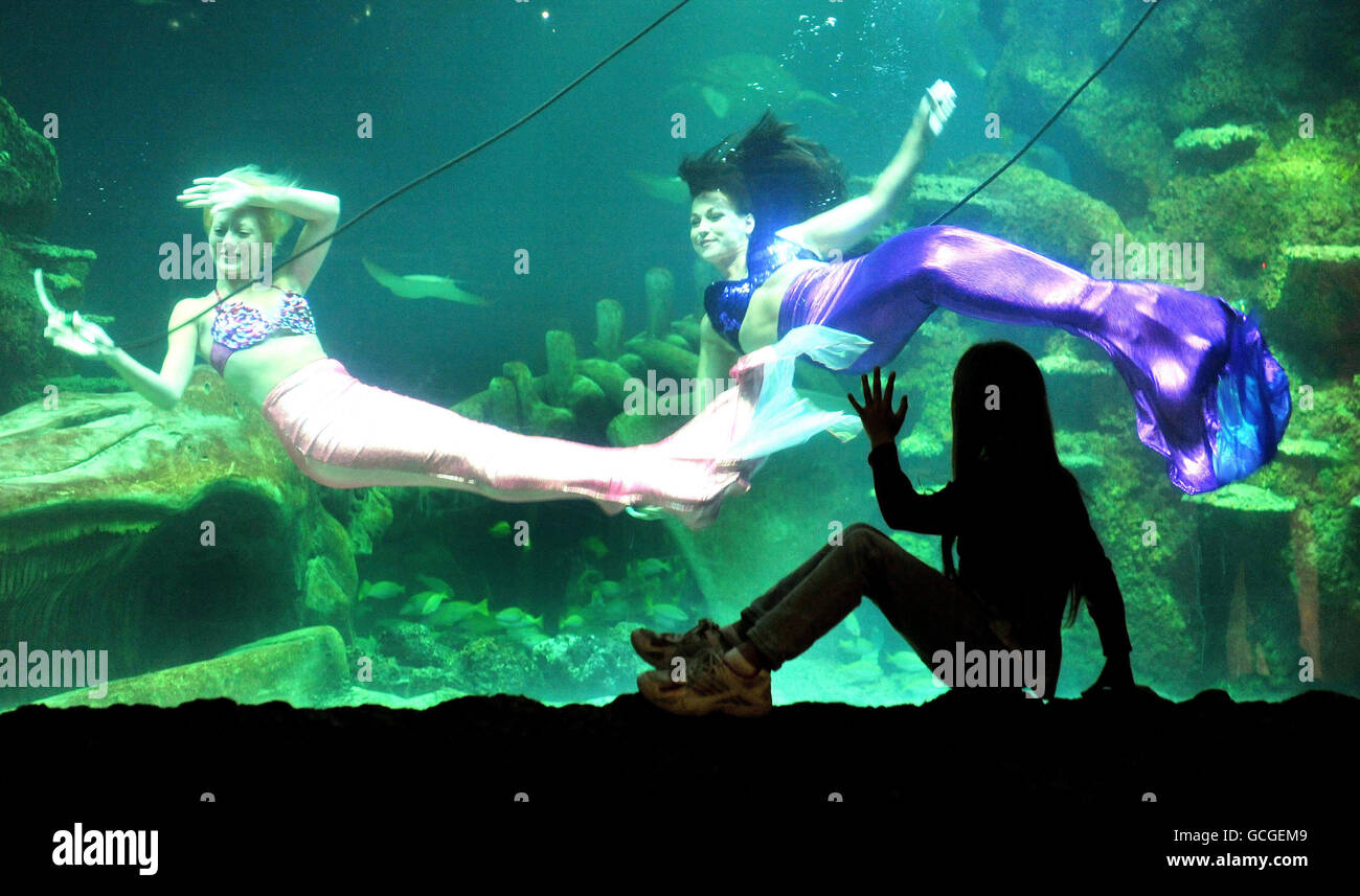 A young girl waves Stayce McConnell (left) and Marcy Shannon, members of the Weeki Wachee Mermaids synchronised underwater aquabatics troupe swim in the Ocean Reef display at the Sea Life London Aquarium. Stock Photo