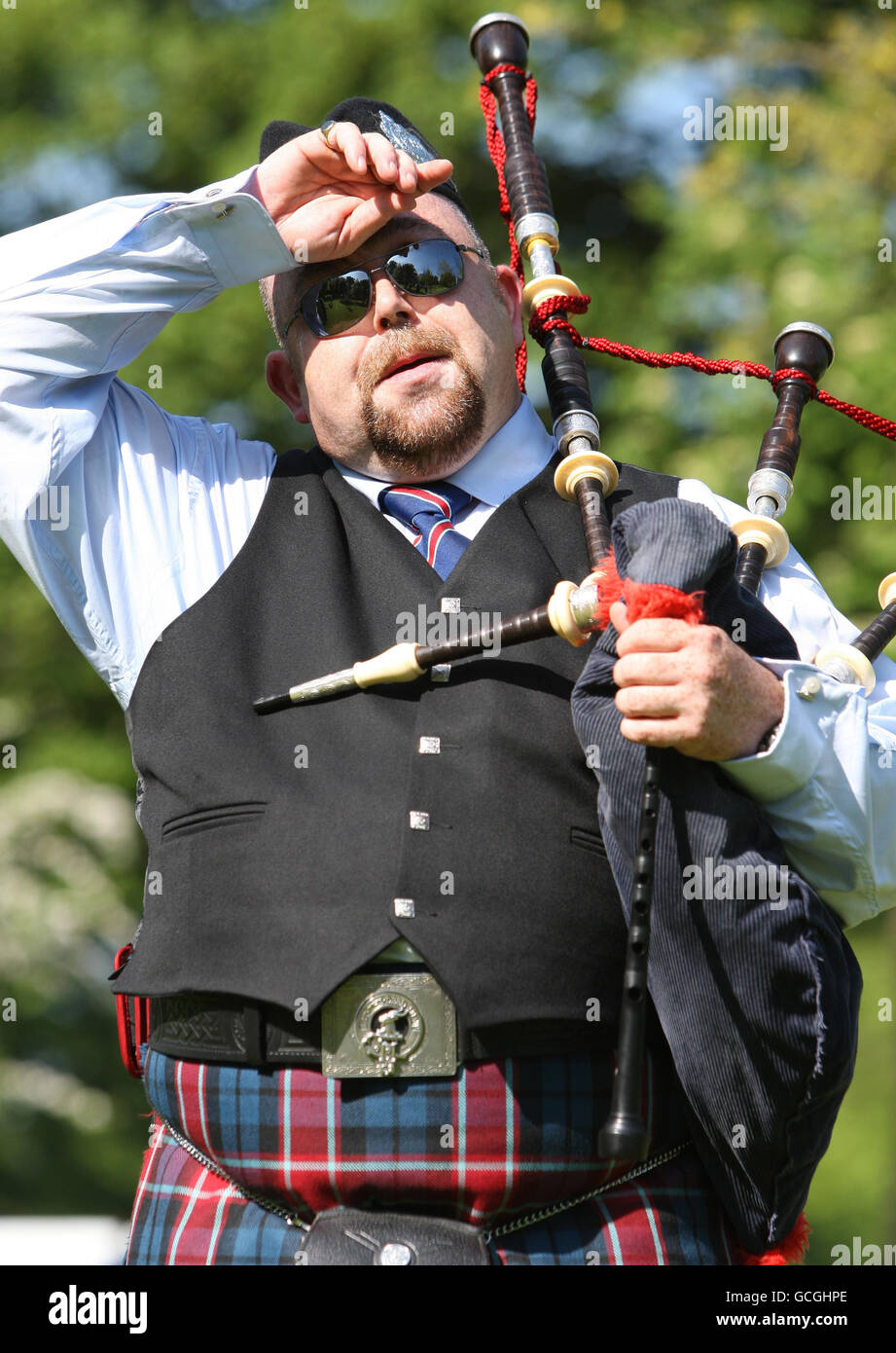 Brow band hires stock photography and images Alamy