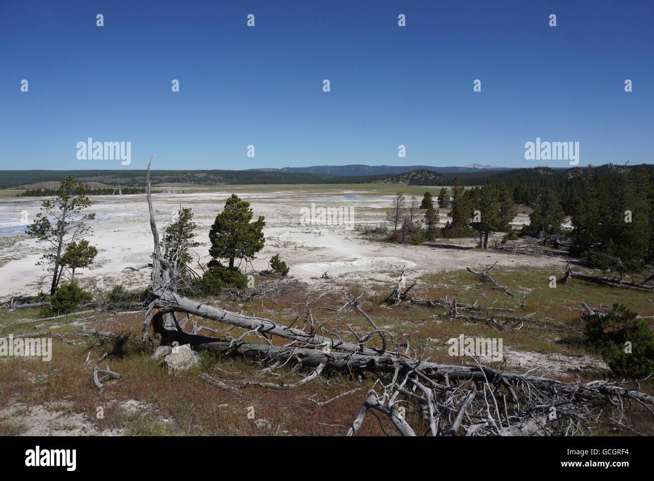 View from the  Fountain Paint Pot / Lower Geyser Basin Nature Trail, Yellowstone National Park Stock Photo