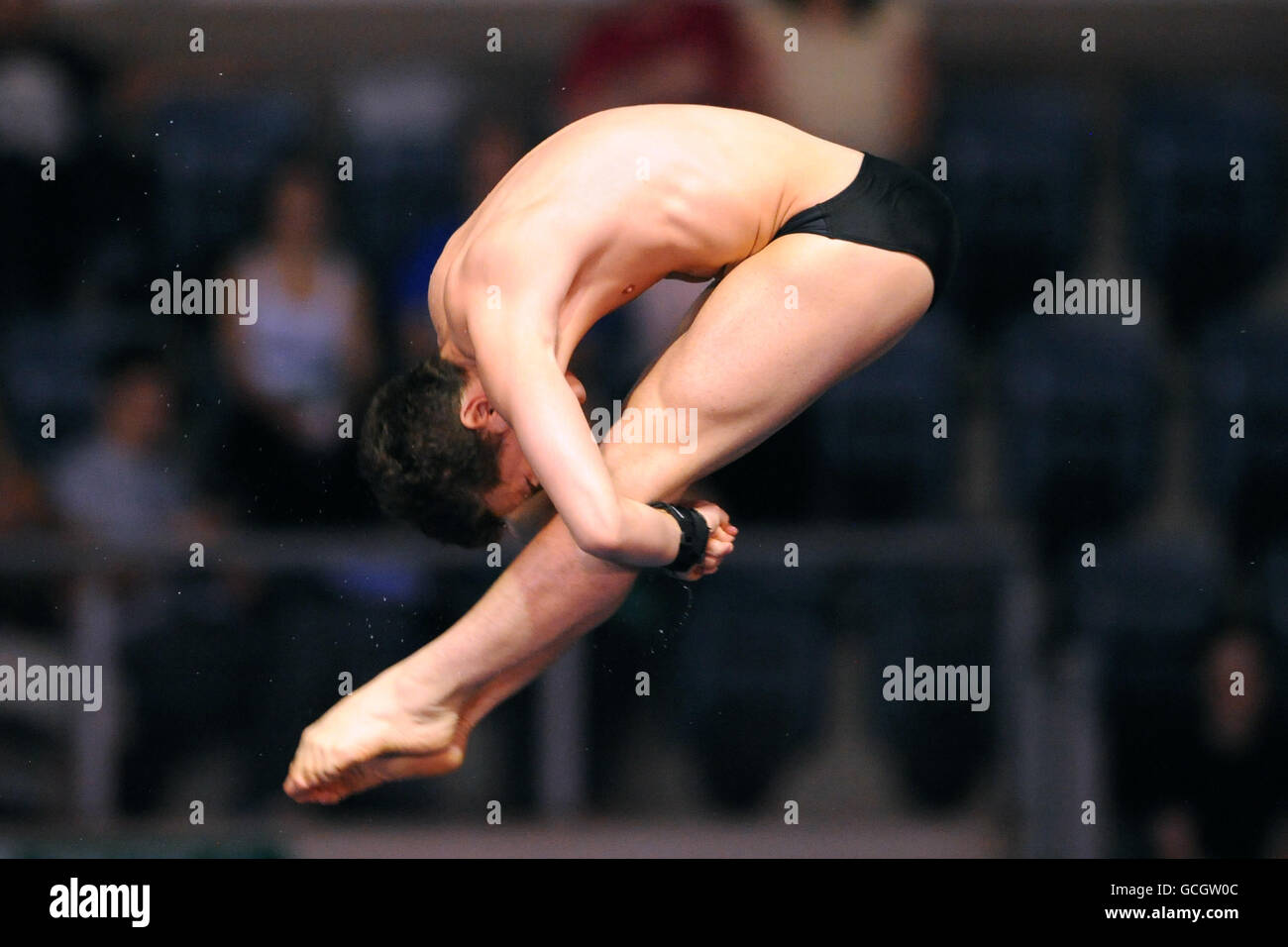 Diving British Gas National Diving Cup 2010 Ponds Stock Photo