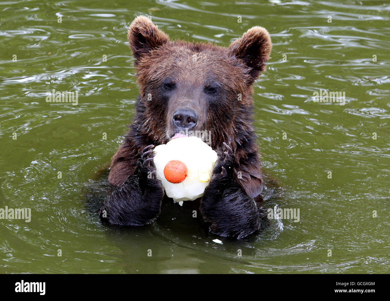 Hottest day of the year in parts of Britain Stock Photo Alamy