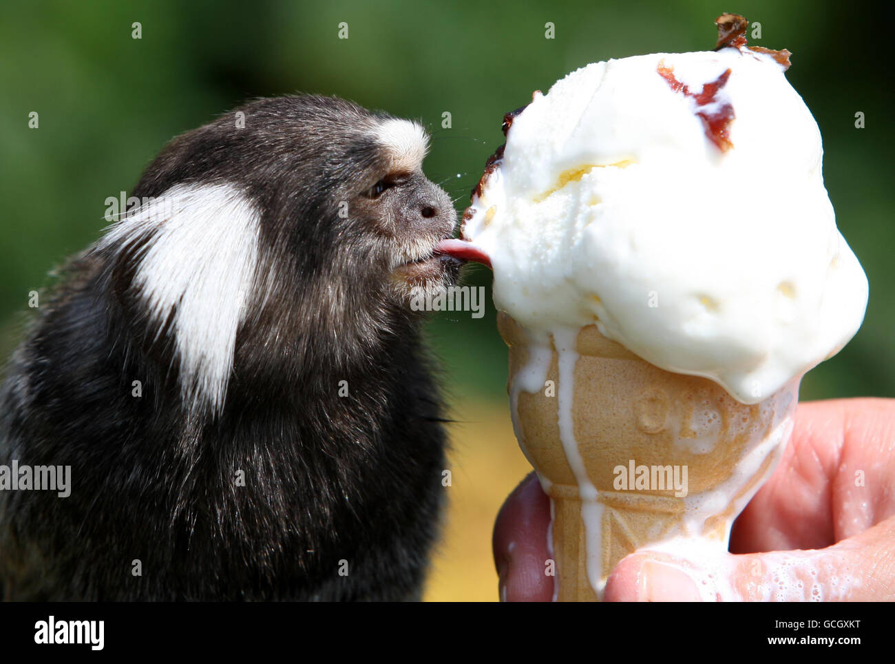 Hottest day of the year in parts of Britain Stock Photo Alamy