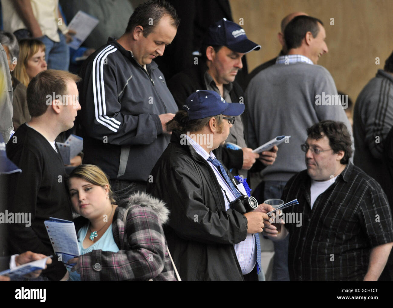 Spectators in the stands during the Wimbledon Greyhound Derby at Wimbledon Greyhound track, Wimbeldon. Stock Photo