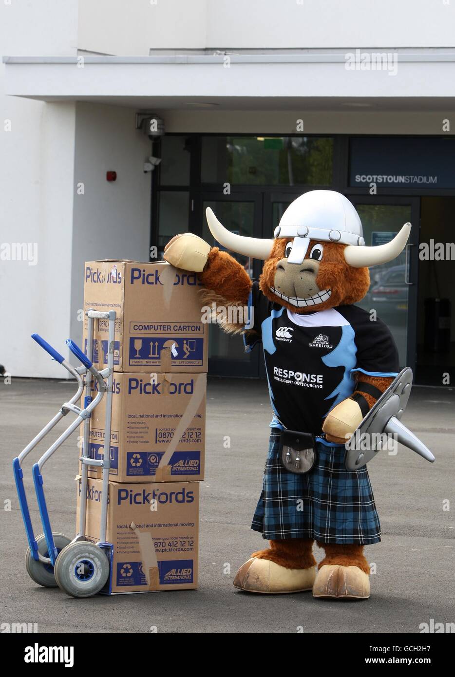 Glasgow Warriors Mascot Clyde Cow High Resolution Stock Photography and ...