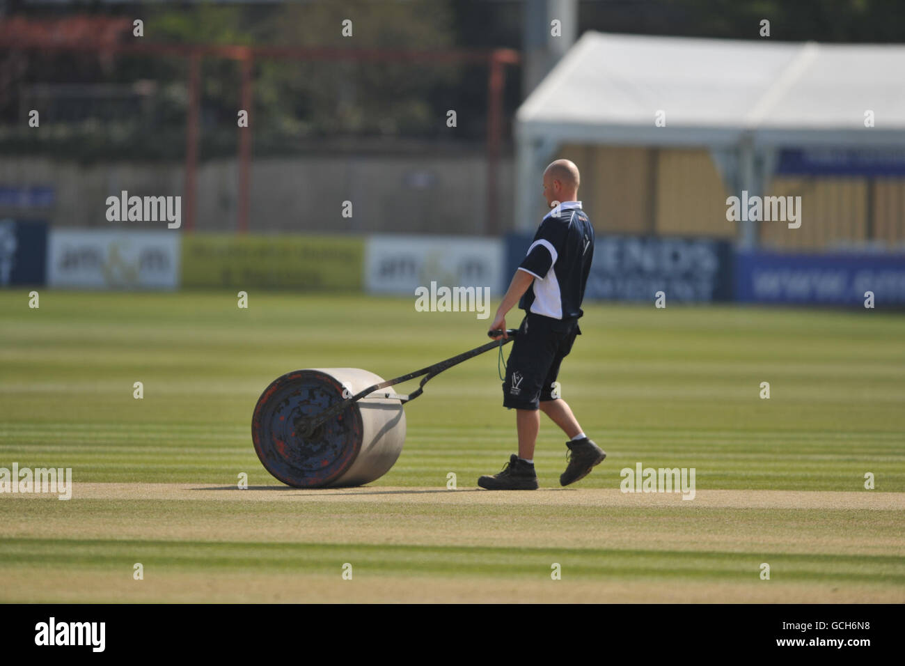 A groundsman works on the pitch at the County Ground, Hove Stock Photo