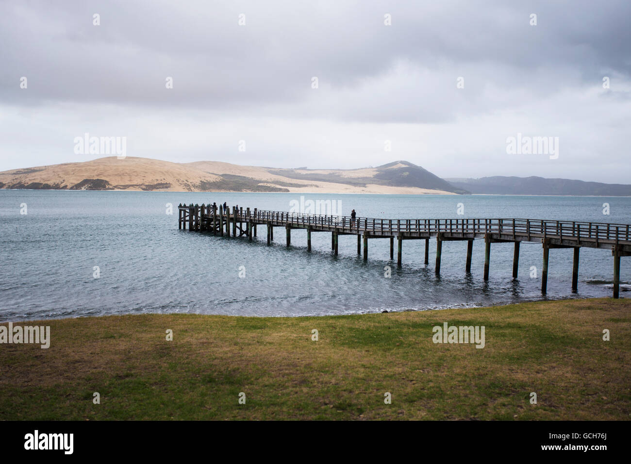 A pier extends into the Hokianga Harbor, the Tasman Sea in the background; Omapere, Northland, New Zealand Stock Photo