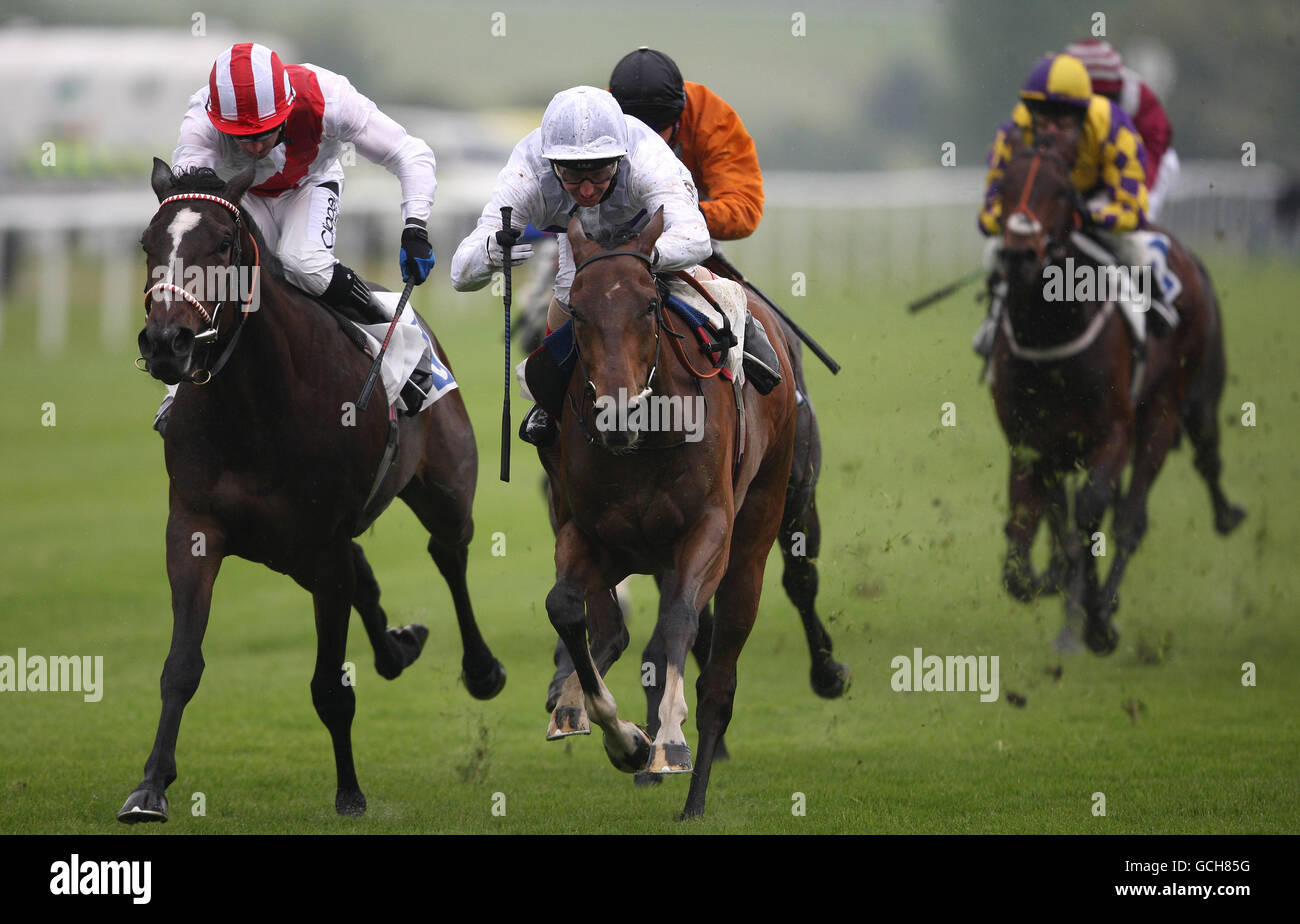 Crying Horse High Resolution Stock Photography And Images Alamy