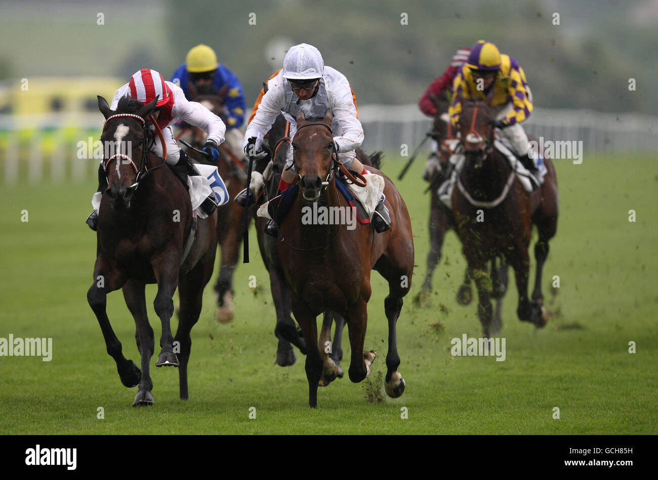 Crying Horse High Resolution Stock Photography And Images Alamy