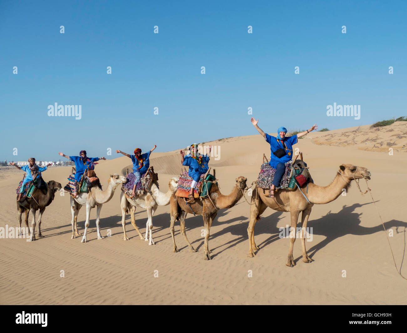 Camel trek on the beach; Essaouira, Morocco Stock Photo