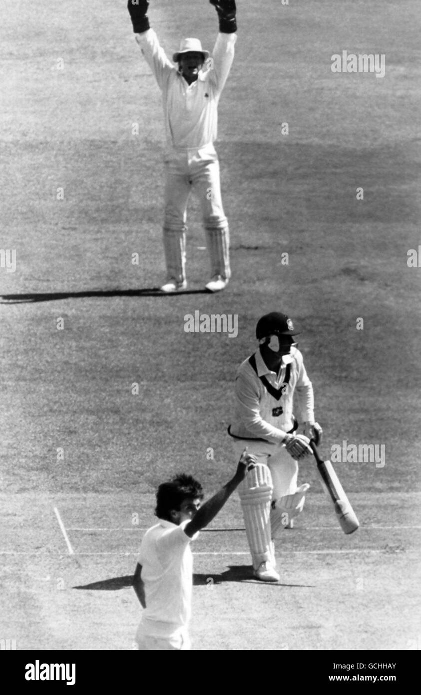 Australian batsman Andrew Hilditch falls lbw to England bowler Neil Foster as wicket-keeper Paul Downton throws his arms in the air to appeal 3.6.85 Stock Photo