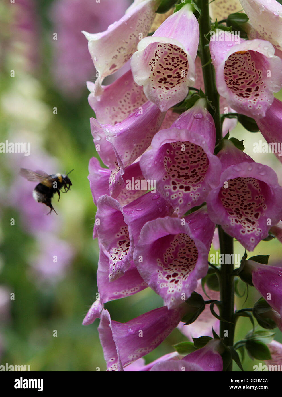 Weather June 8th Stock Photo Alamy