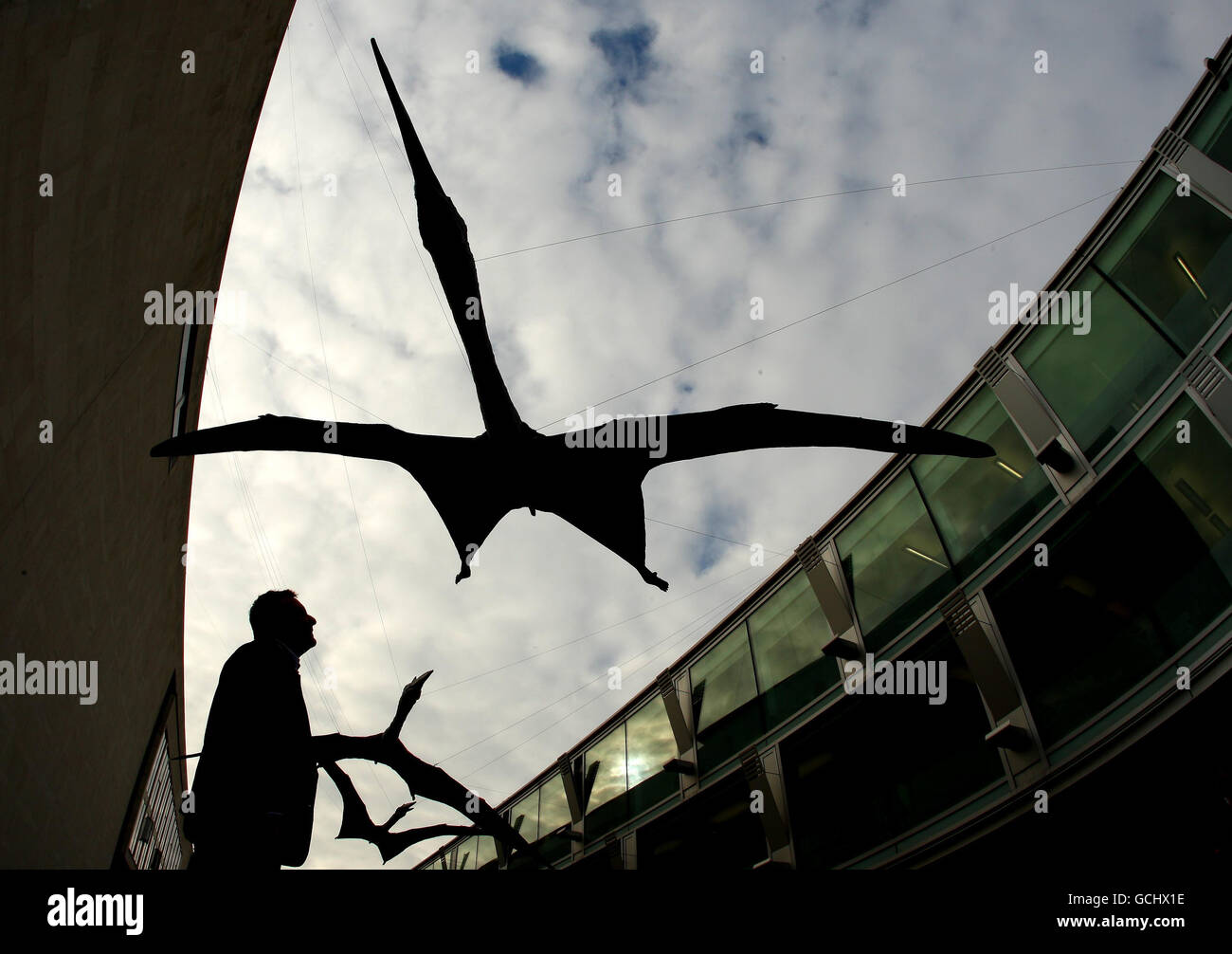 Hanging Pterodactyl