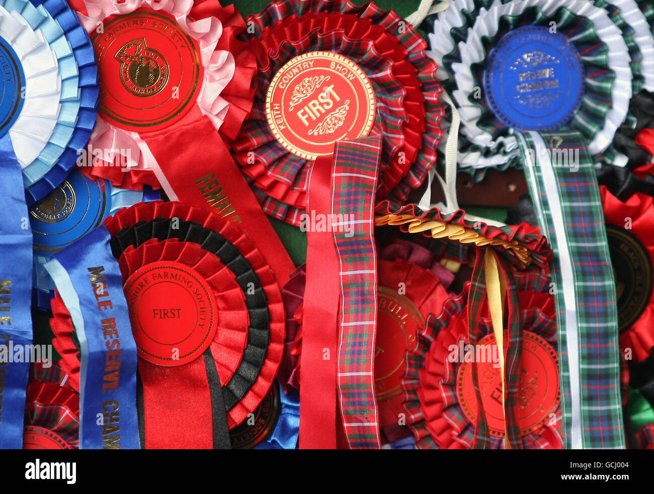 Royal Highland & Agricultural Show Rosettes 1st-3rd 2016 Great display items 