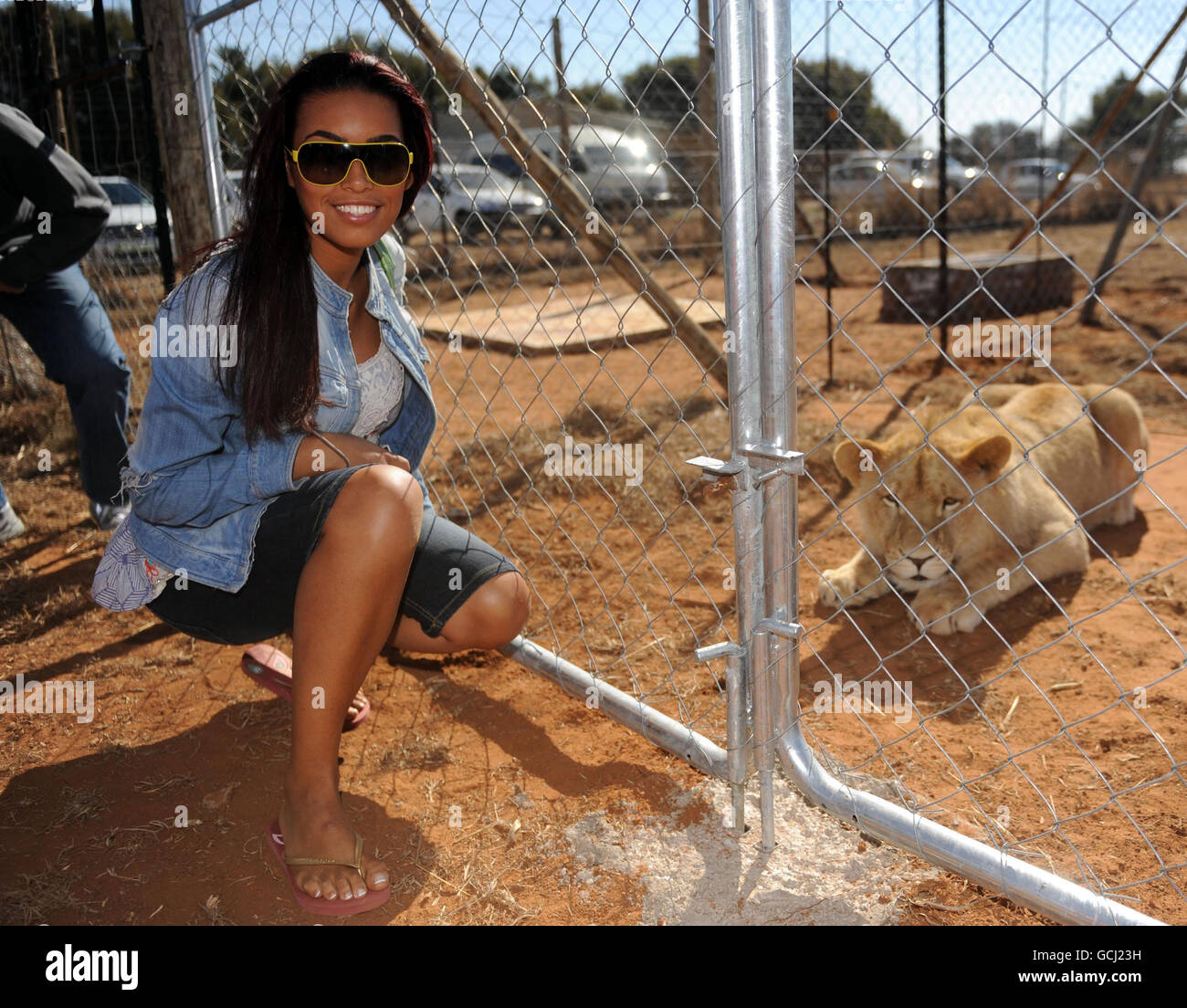 Wags in South Africa Stock Photo