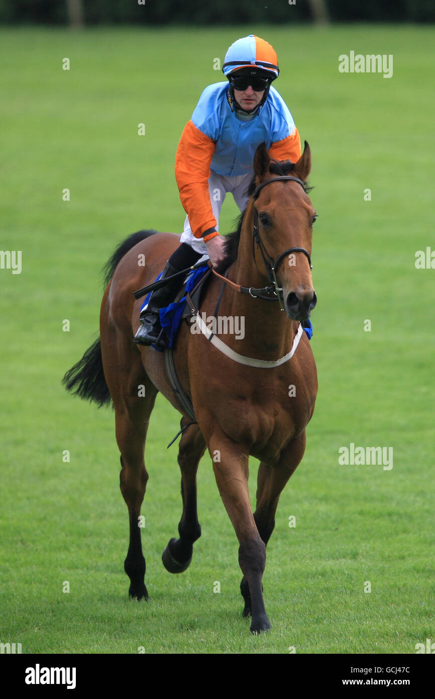 Fuzzy Cat ridden by Graham Gibbons going to post for the toteplacepot Handicap at Nottingham racecourse Stock Photo