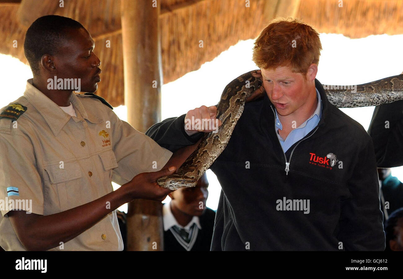 Prince Harry poses with a rock python during a visit to the Mokolodi ...