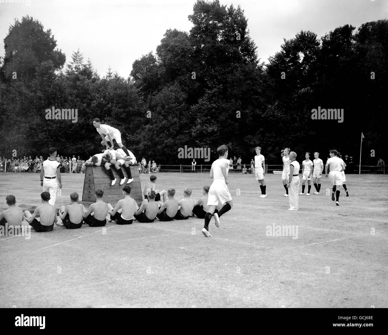 A high standard of vaulting is shown on display hires stock