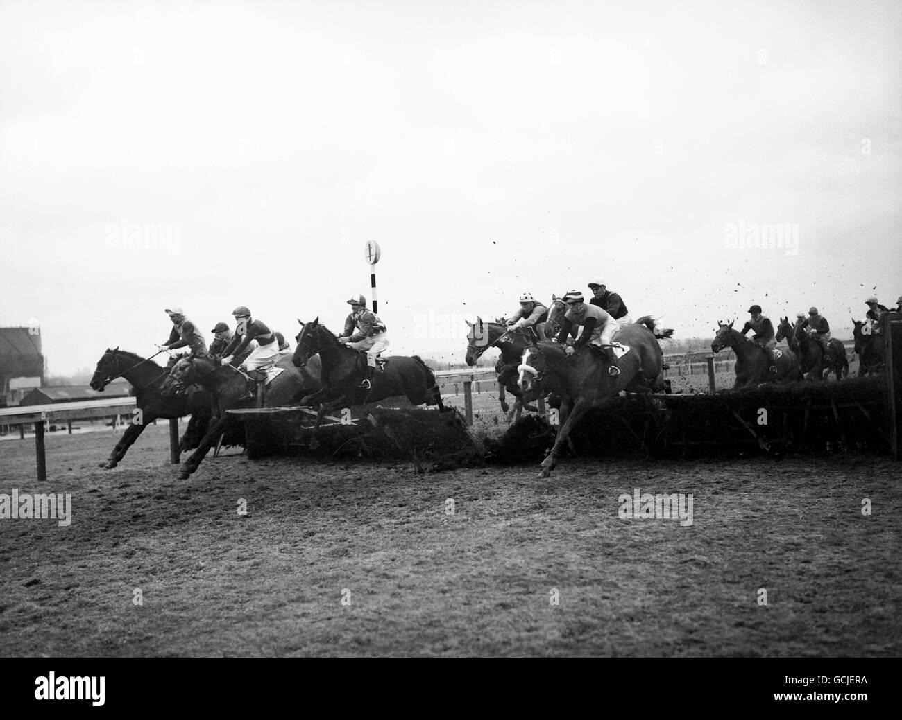 Highclere Horse Black And White Stock Photos Images Alamy highclere-horse-black-and-white-stock-photos-images-alamy