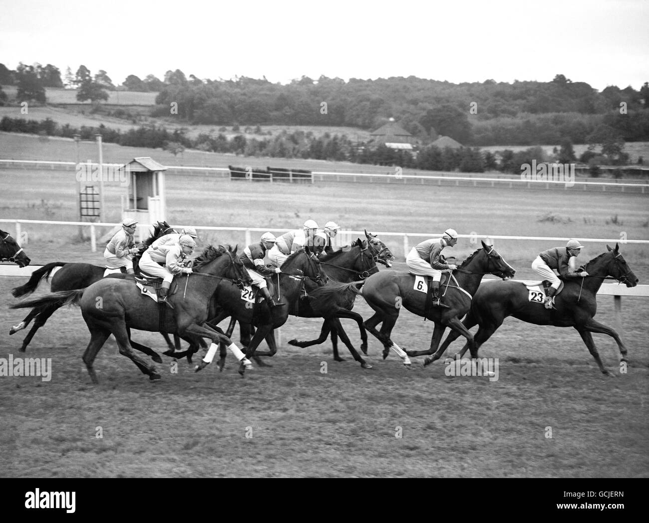Horse Racing Start Black and White Stock Photos & Images - Alamy