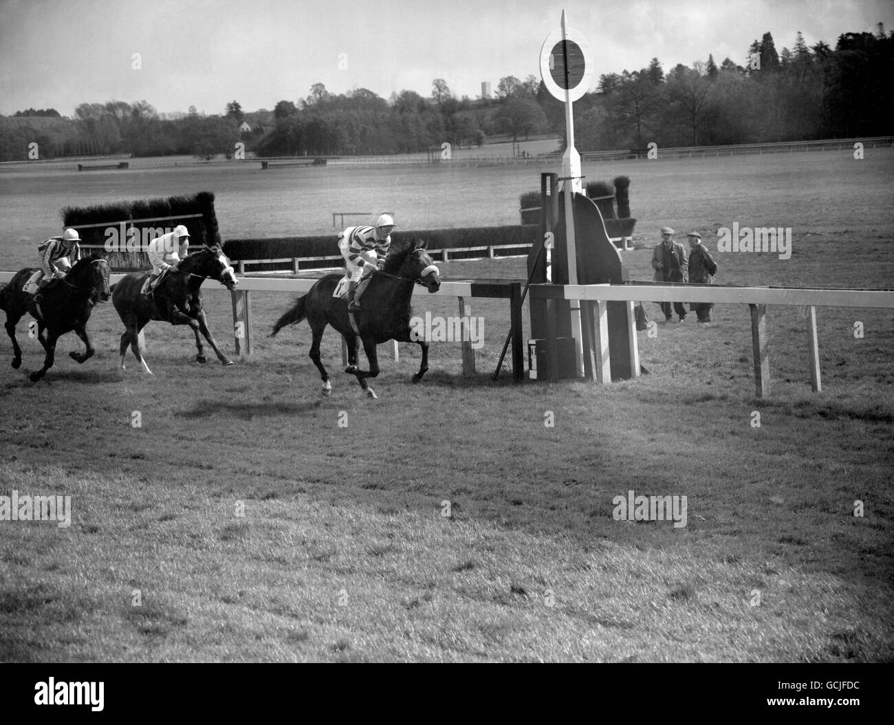 Horse Racing The Spring Maiden Plate Newbury Racecourse Stock Photo