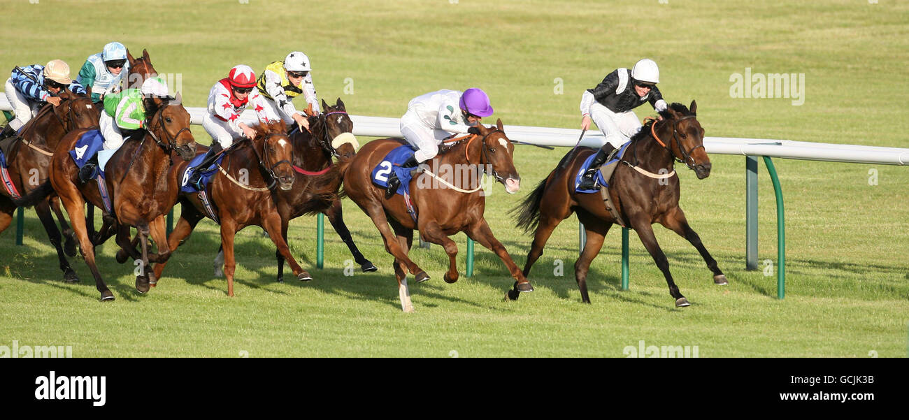 Horse Racing - Ayr Racecourse Stock Photo - Alamy Horse Racing - Ayr Racecourse Stock Photo - Alamy