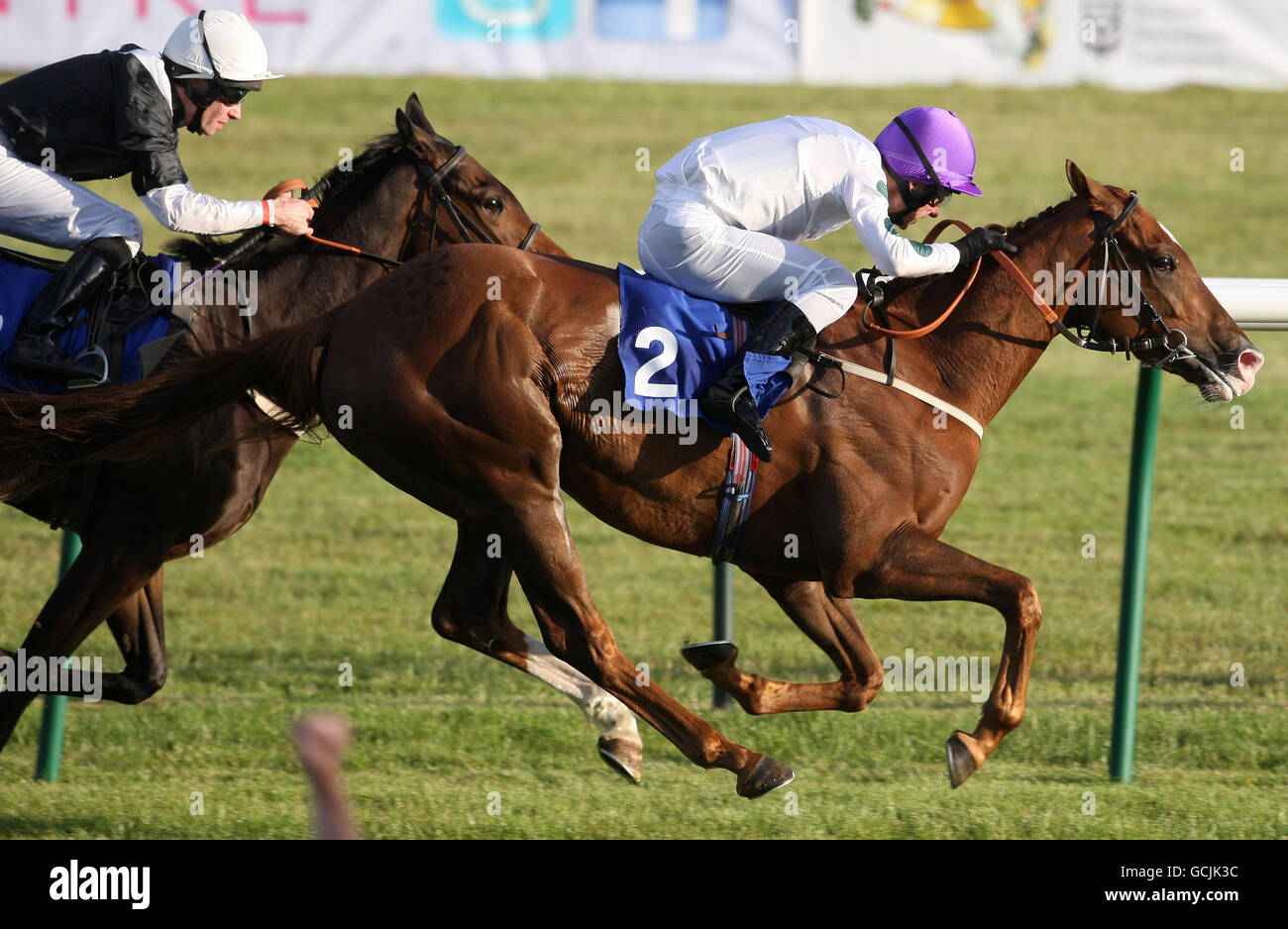 Ayr Racing Horse Racing - Ayr Racecourse Stock Photo - Alamy
