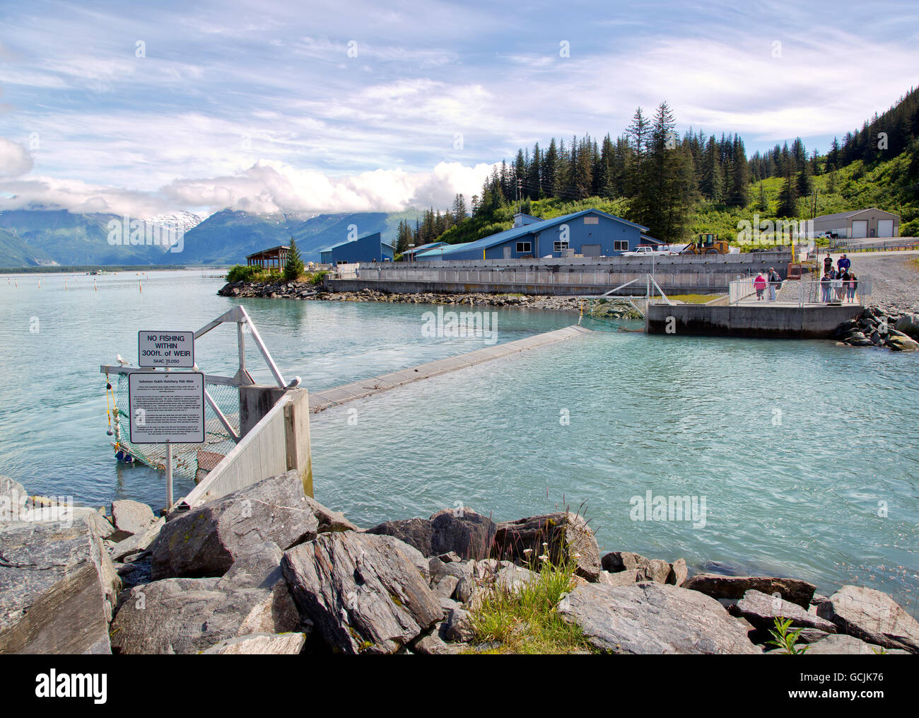 Solomon Gulch Fish Hatchery, visitors viewing fish ladder, anticipating arrival of the Salmon. Stock Photo