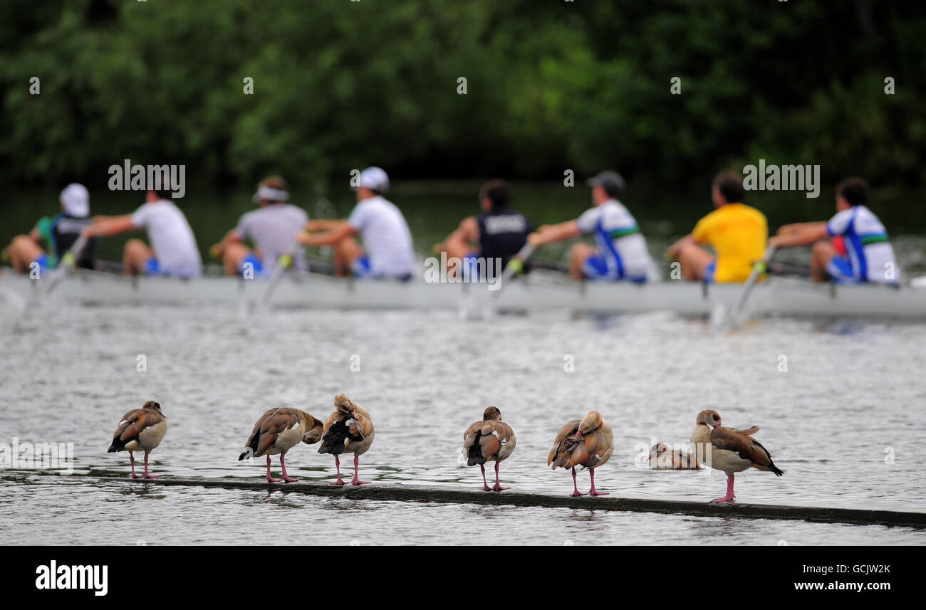 Mens eight rowing hi-res stock photography and images - Alamy