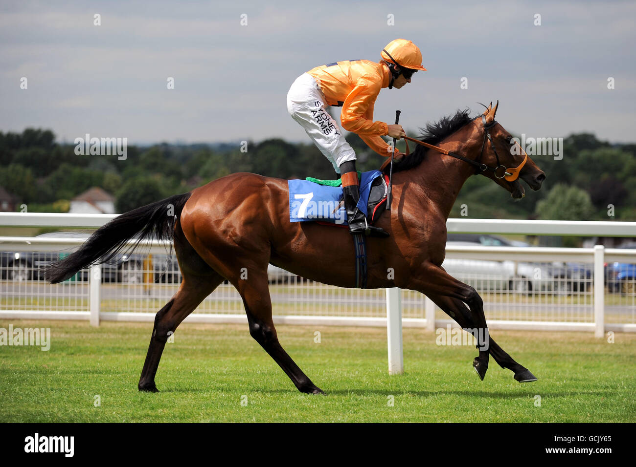 Horse Racing - Eclipse Meeting - Sandown Park Stock Photo