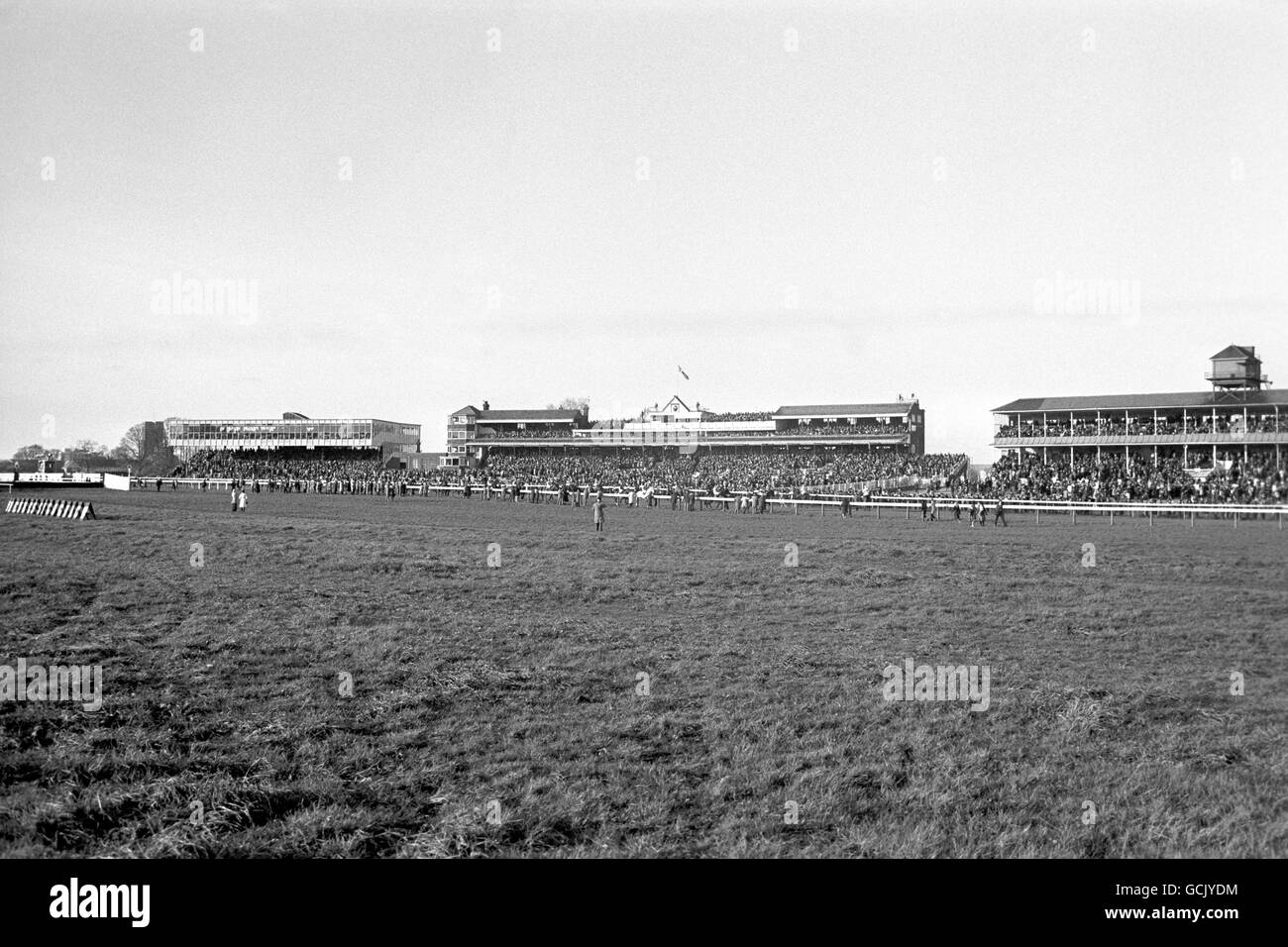 Horse Racing - Newbury Racecourse Stock Photo