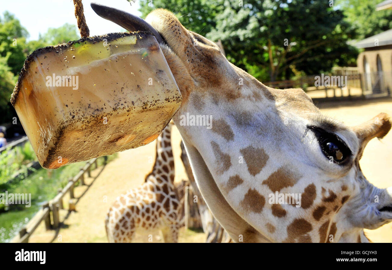Weather July 9th Stock Photo Alamy