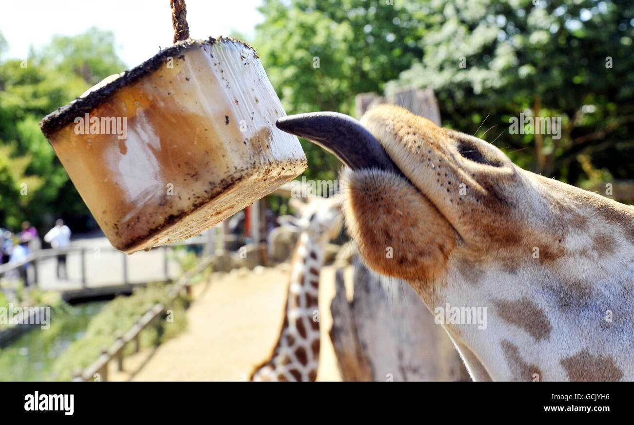 Weather July 9th Stock Photo Alamy