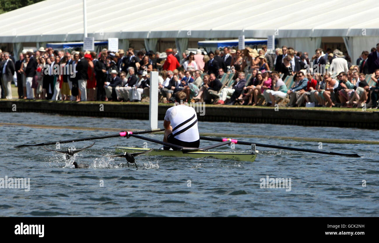 Rowing Henley Royal Regatta Day Five HenleyonThames Stock Photo