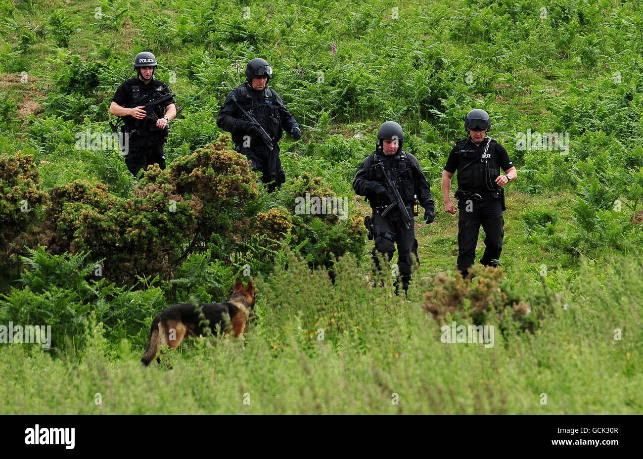 Armed Police officers search shrubland near Rothbury, Northumberland as the manhunt for gunman Raoul Moat continues. Stock Photo