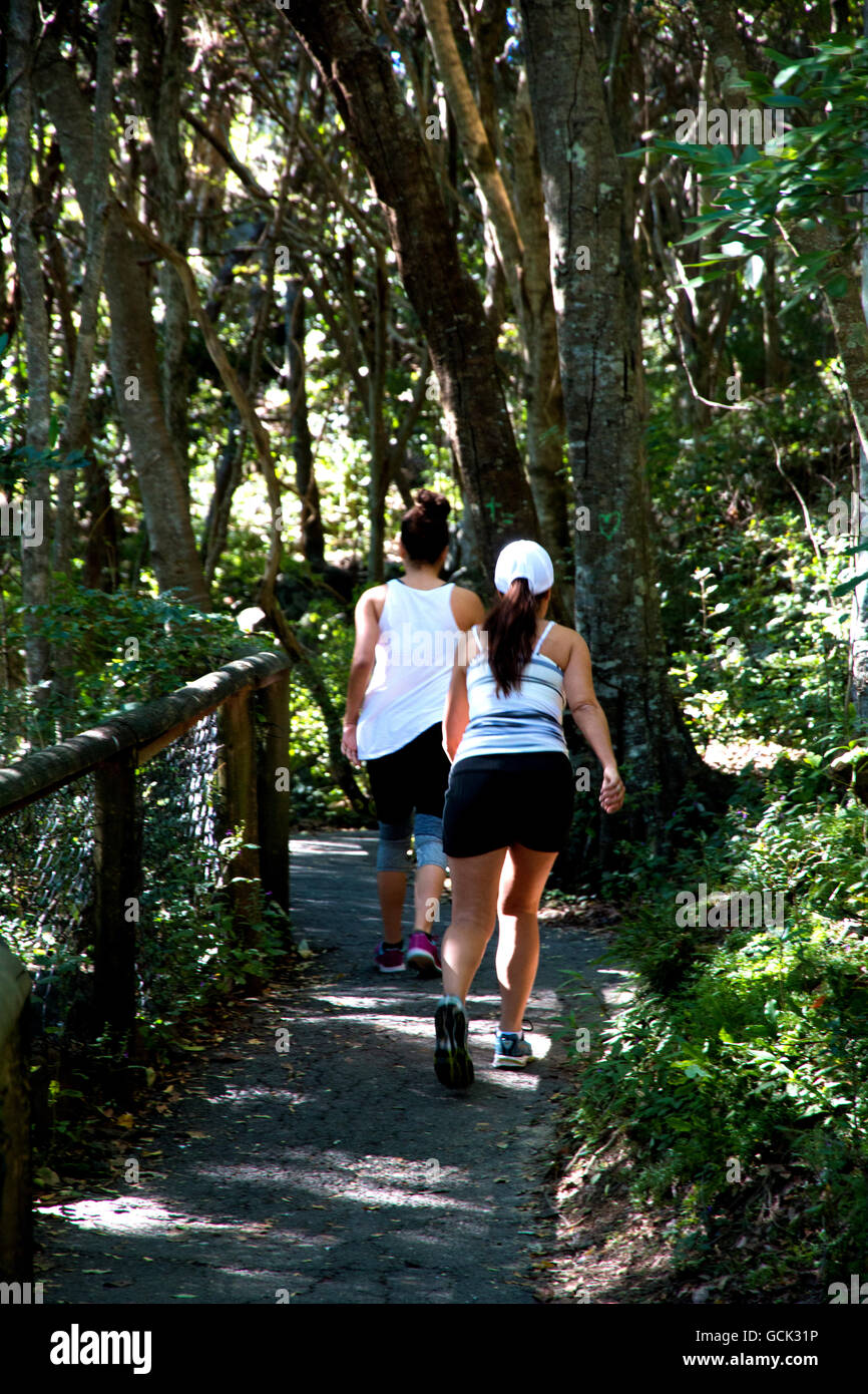 Two women walking through natural bushland at Burleigh Heads in Australia Stock Photo