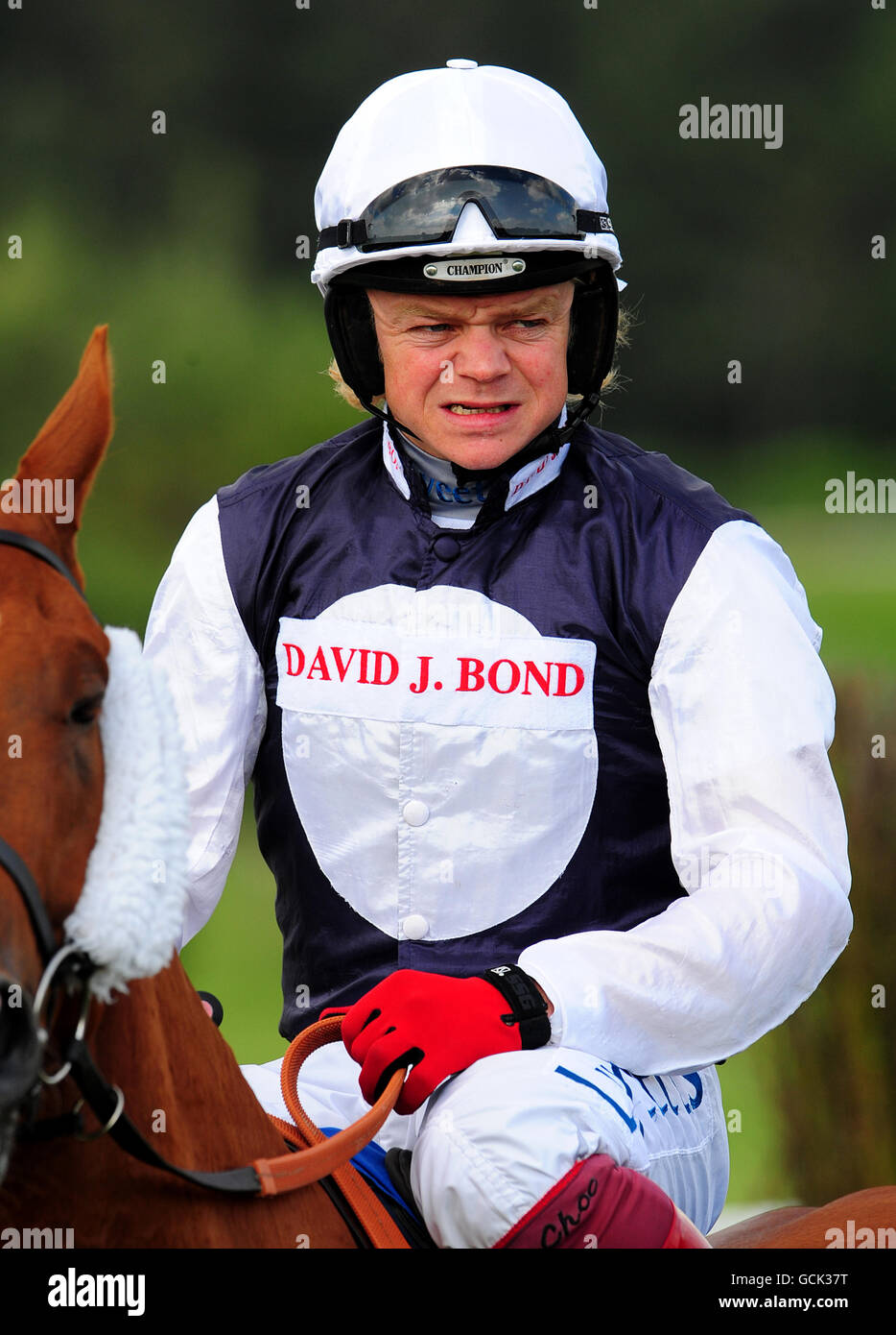 Horse Racing Market Rasen Racecourse Stock Photo Alamy