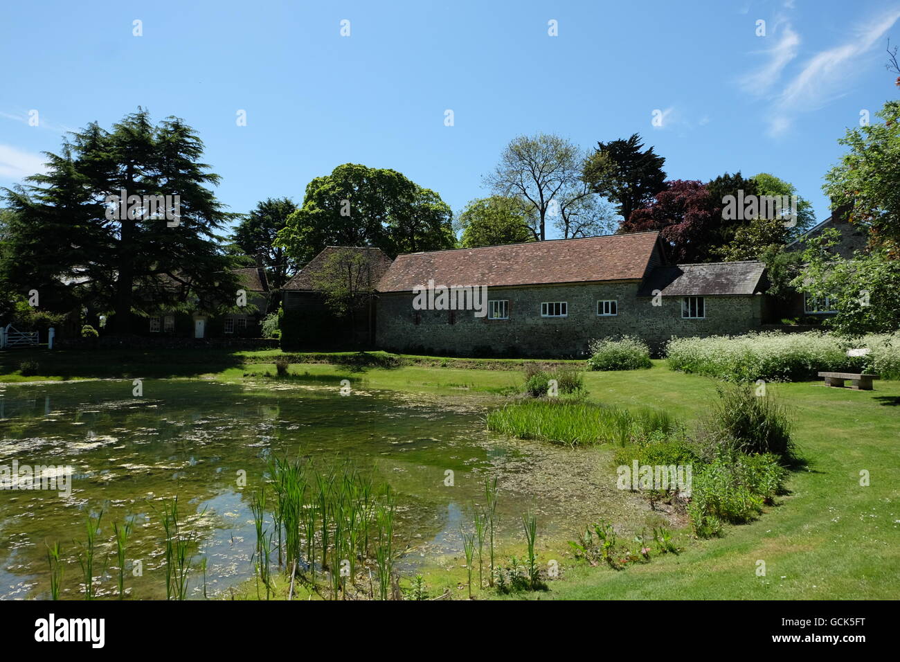 Ashmore hires stock photography and images Alamy