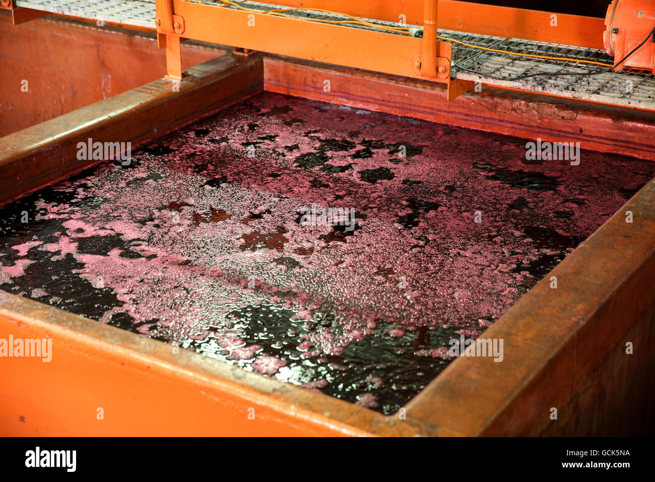 Wine grape juice fermenting in open vats at Penfolds Magill Estate in Adelaide Australia Stock Photo