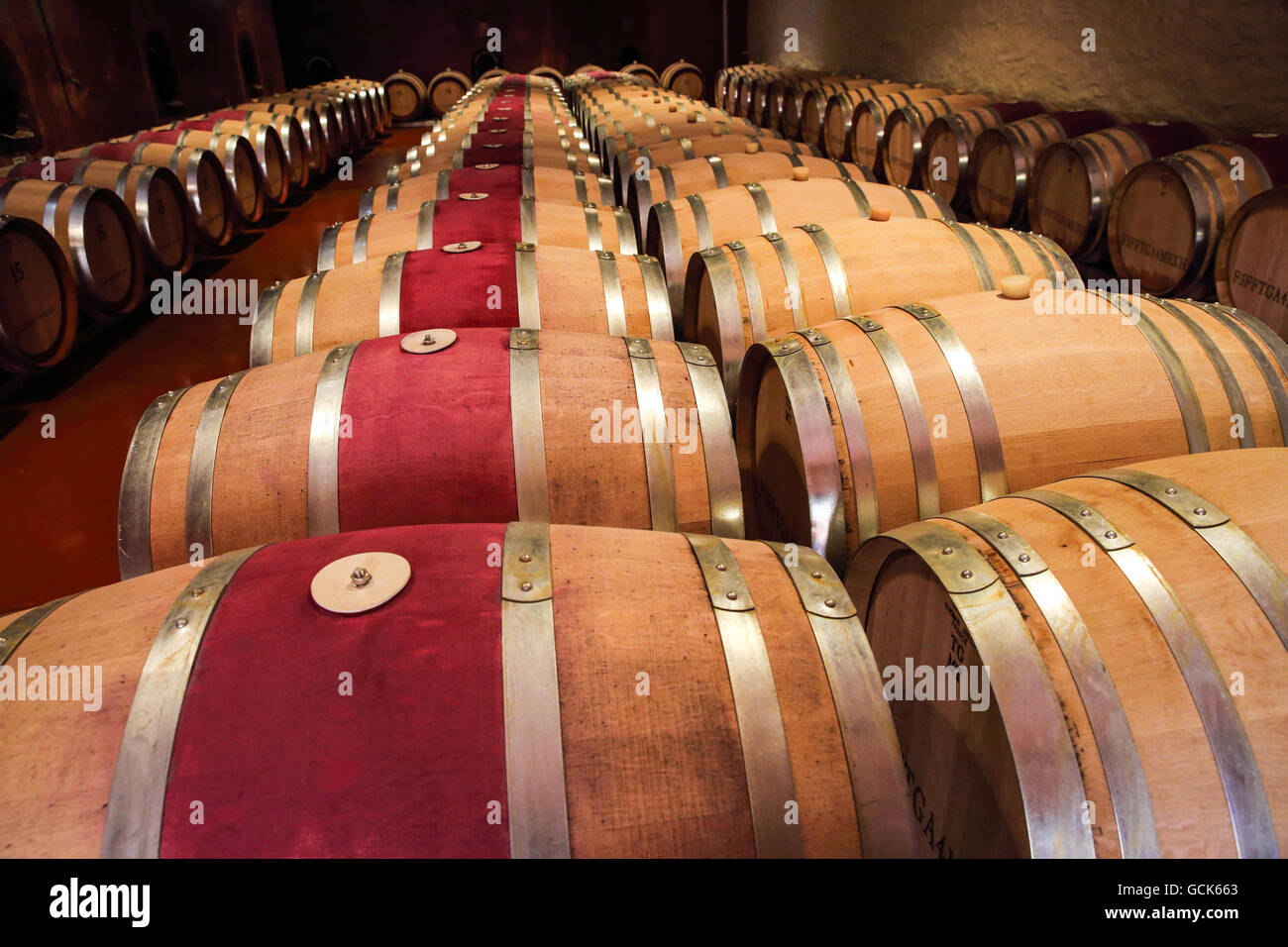 Barrels of wine maturing at Penfolds Cellars in Adelaide Australia Stock Photo