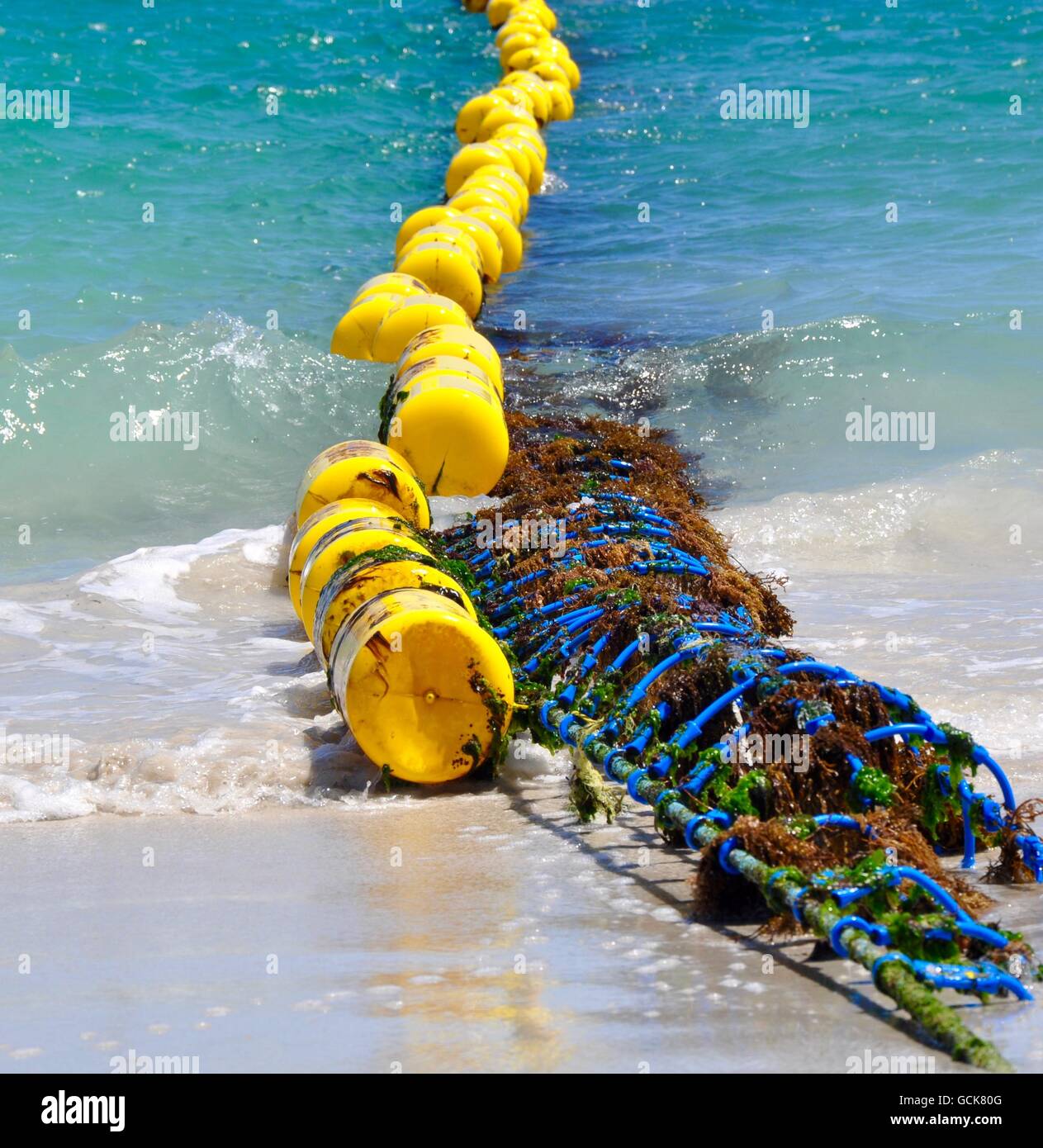 Bright yellow and blue shark net edge in the Indian Ocean waters at Coogee Beach in Coogee, Western Australia. Stock Photo