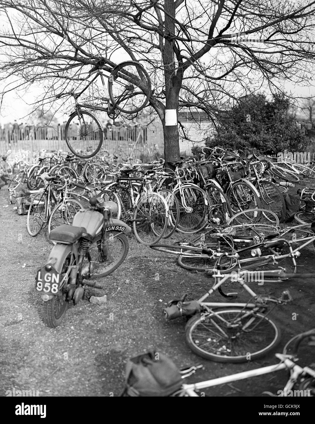 So that they could find their bicycle with ease from amongst so many, they hung the cycle from a tree branch at the Southern Counties Cycling Union's annual Good Friday meeting at Herne Hill, London. Stock Photo