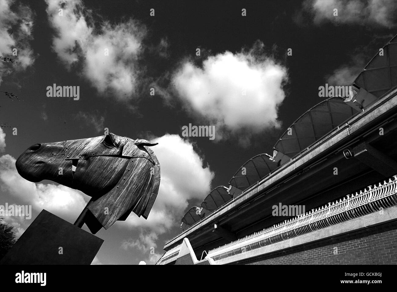 Newly installed equine sculpture for Glorious Goodwood. The equestrian