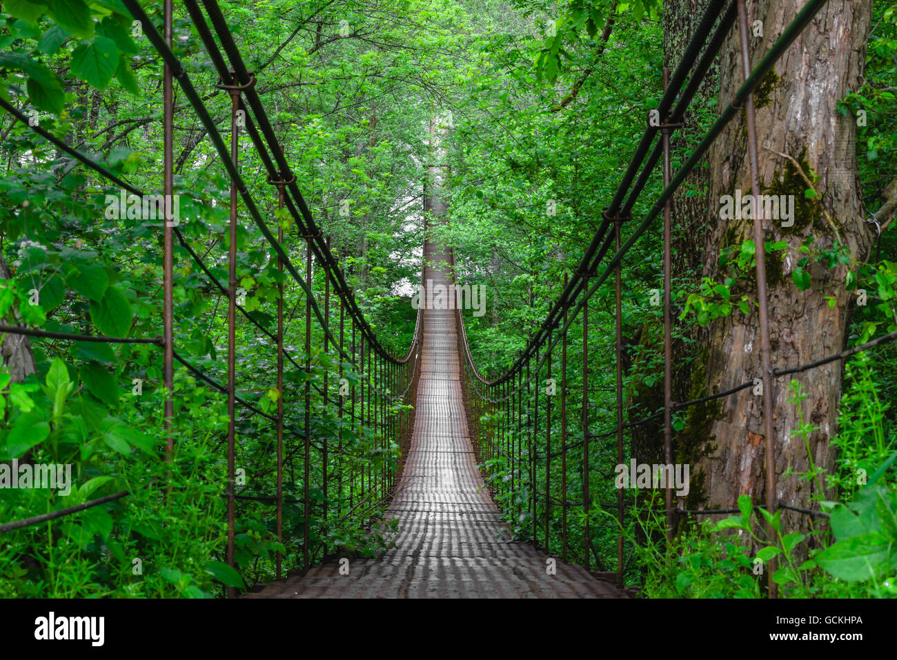 Rope Bridge Jungle High Resolution Stock Photography and Images Alamy