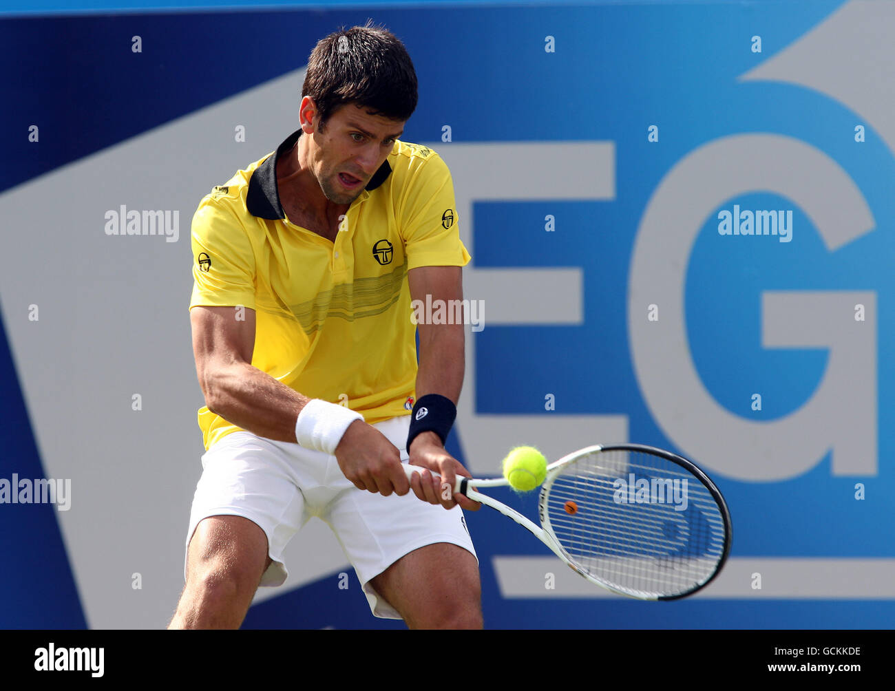 Serbia's Novak Djokovic in action during the AEGON Championships at The Queen's Club Stock Photo