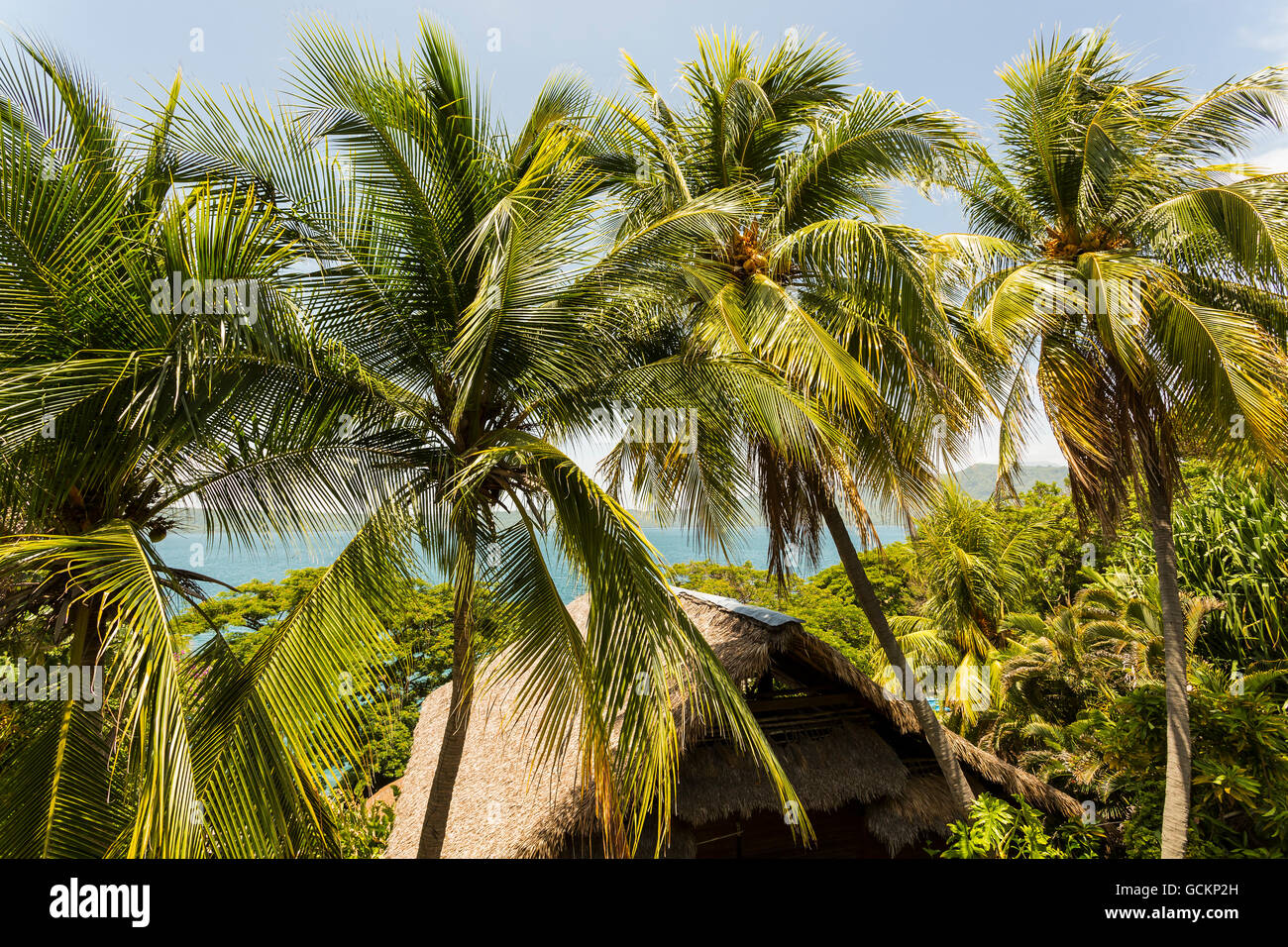 Apoyo Lagoon, Nicaragua - June 2016. Palm trees and water at Selva Azul Resort Stock Photo