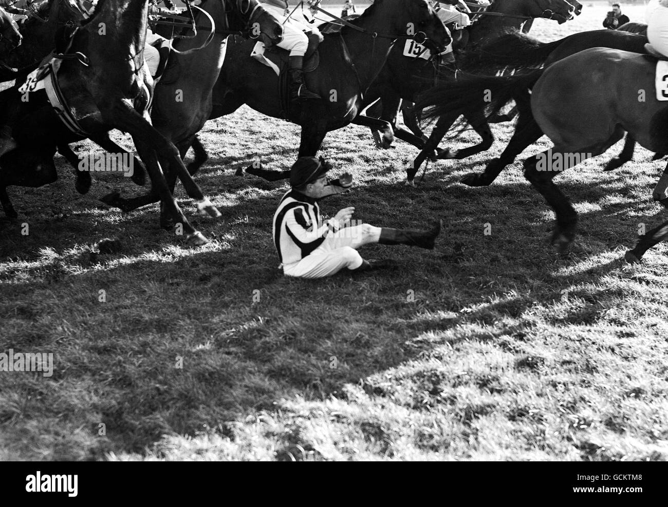 The Compton Novices' Hurdle Race. R.Morrow falls from Mr. R.H.Corbertt's 'Gamp' at the first hurdle. Stock Photo