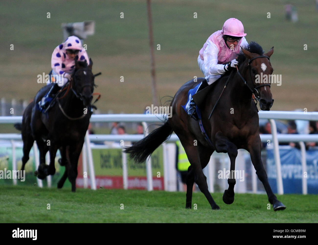 Queen of wands hires stock photography and images Alamy