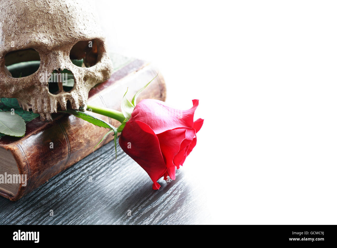 Still life with human skull on old book near red rose Stock Photo