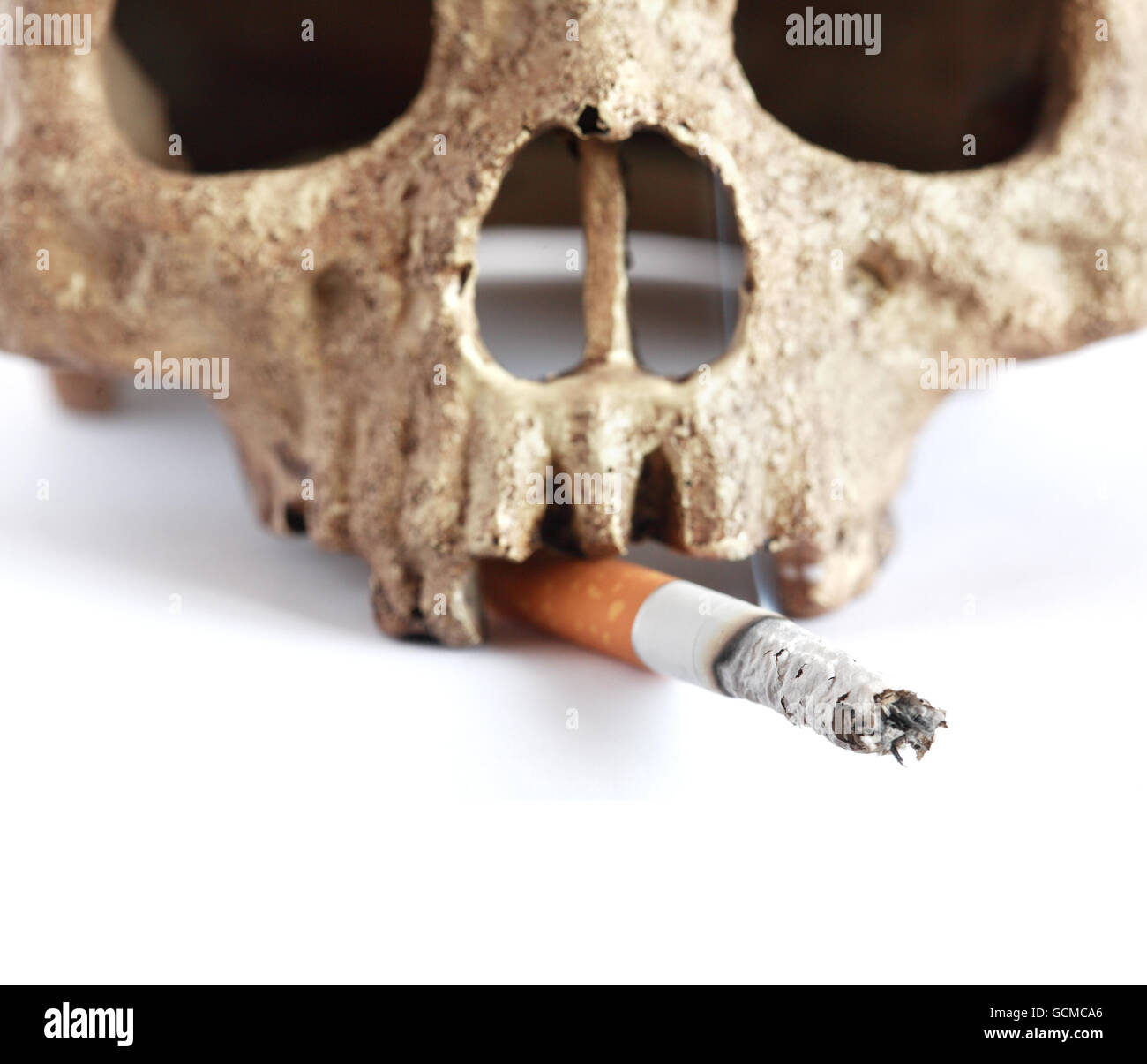 Human skull with smoldering cigarette on white background Stock Photo