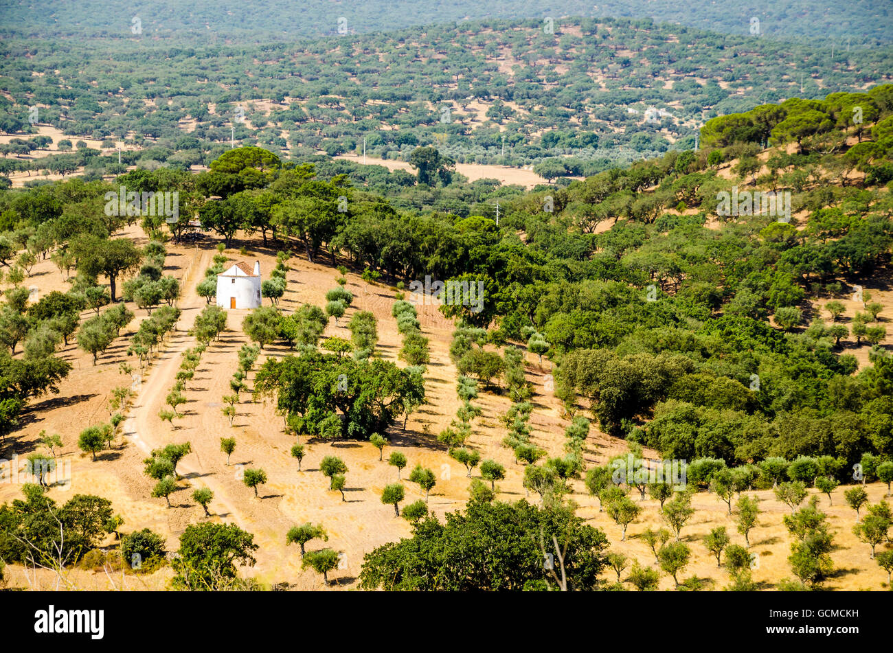 panorama of landscaped  countryside with a traditional white house. alentejo. portugal Stock Photo